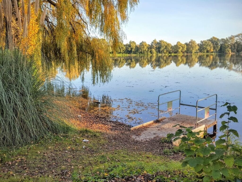 agent immobilier à bauvin 59