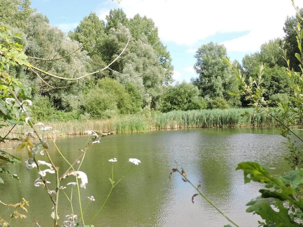 agent immobilier phalempin 3%.COm